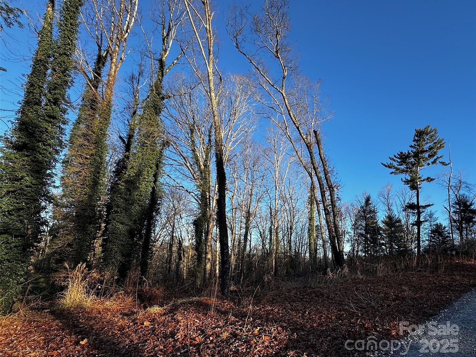 0 N Westview Ct #14 Fletcher, NC 28732 - Thumbnail 5