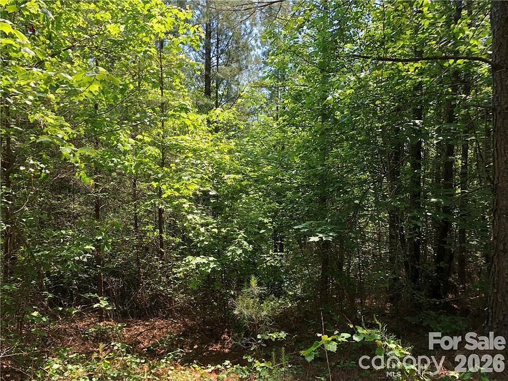 5 Geebees Way Mill Spring, NC 28756 - Thumbnail 5