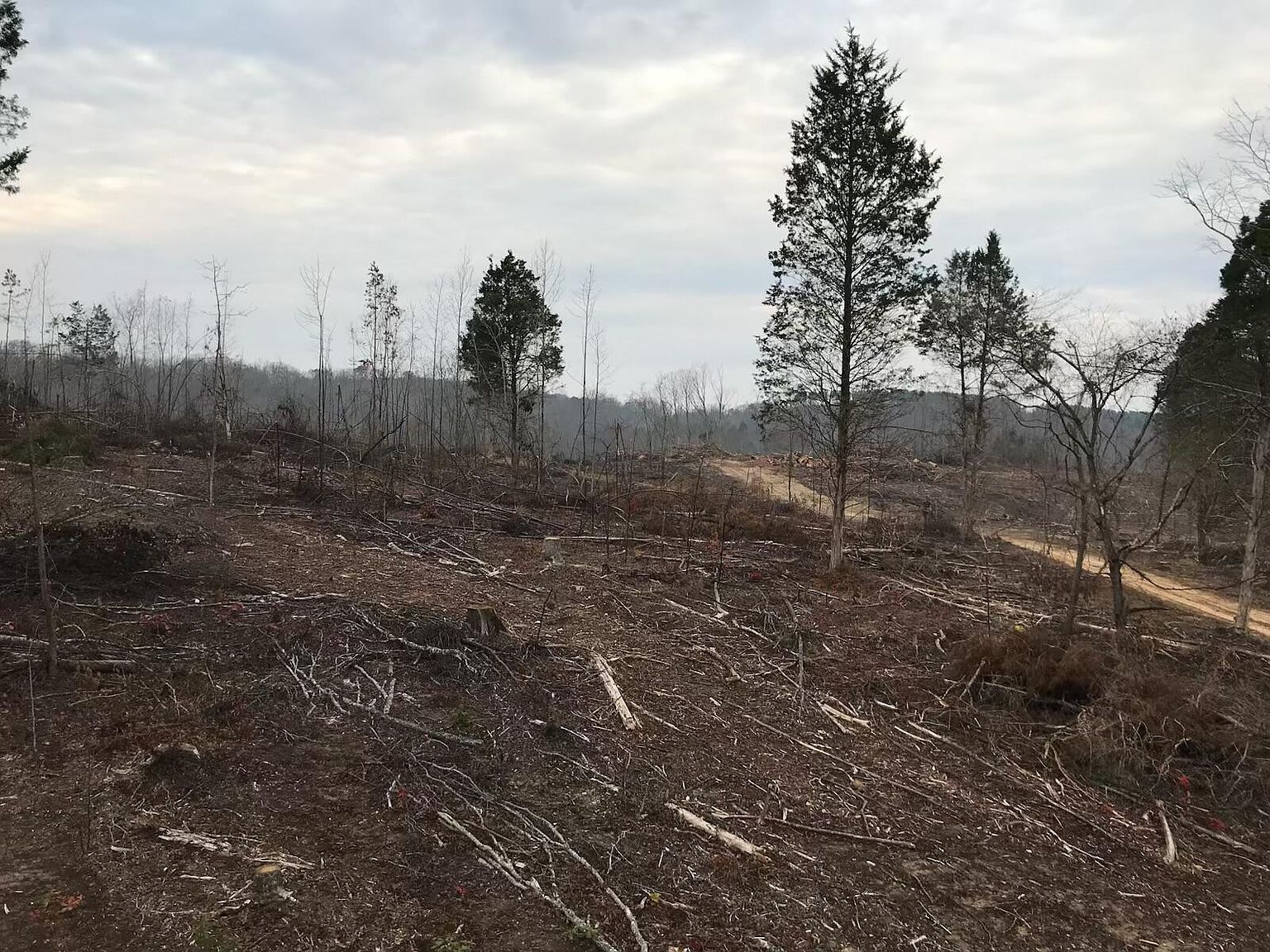 233 County Road 83 Athens, TN 37303 - Thumbnail 5