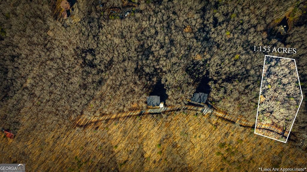 LOT 1 Scouts Overlook Morganton, GA 30560 - Thumbnail 5