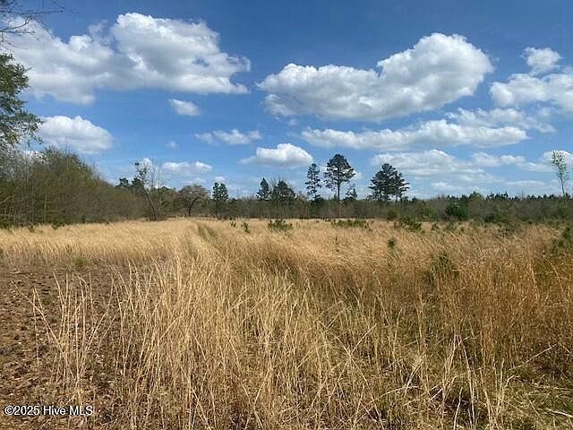 28385 Aberdeen Rd Wagram, NC 28396  | Land/Lot