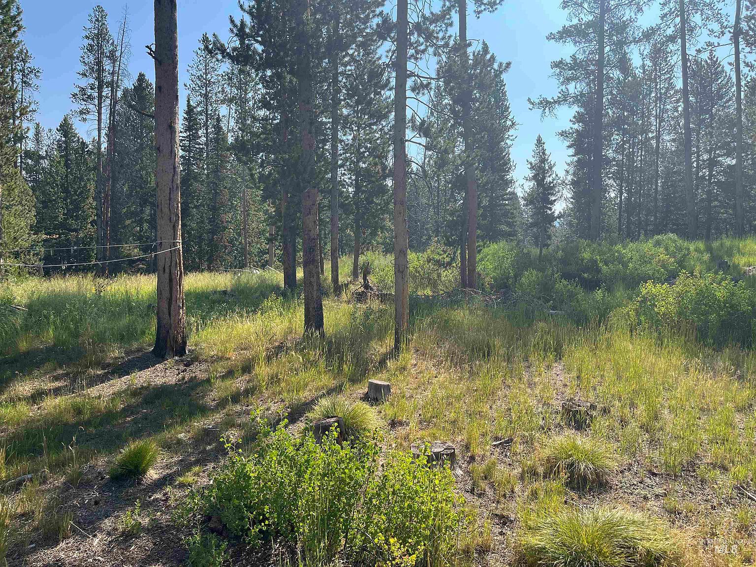 773 Smiley Creek Rd Sawtooth City, ID 83340 - Thumbnail 5