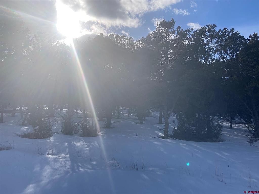 LOT 2 Snowberry Ln Ridgway, CO 81432 - Thumbnail 5