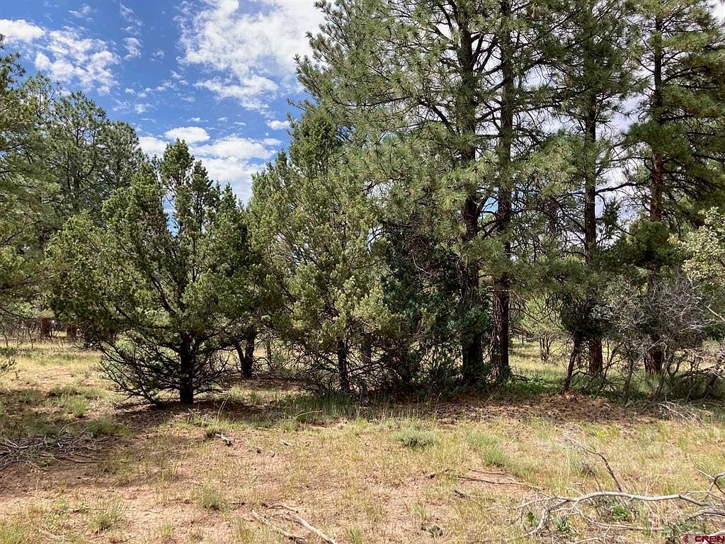 LOT 422 Badger Trl S Ridgway, CO 81432 - Thumbnail 5