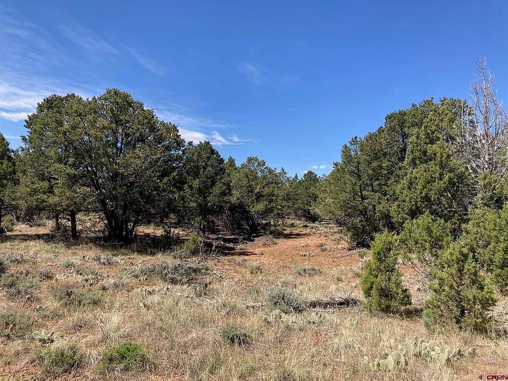 6 County Road 22 Montrose, CO 81403 - Thumbnail 5