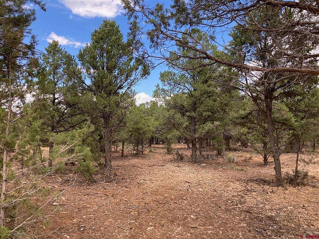 1 County Road 22b Montrose, CO 81403 - Thumbnail 5