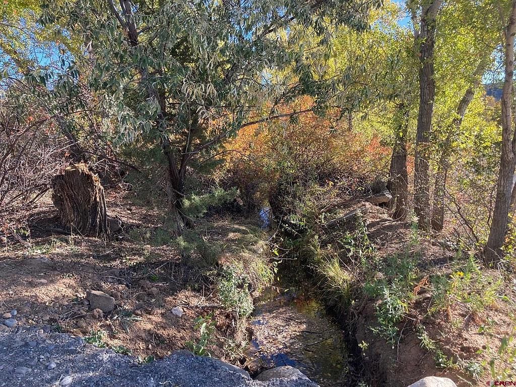 1590 SE 3rd St Cedaredge, CO 81413 - Thumbnail 5