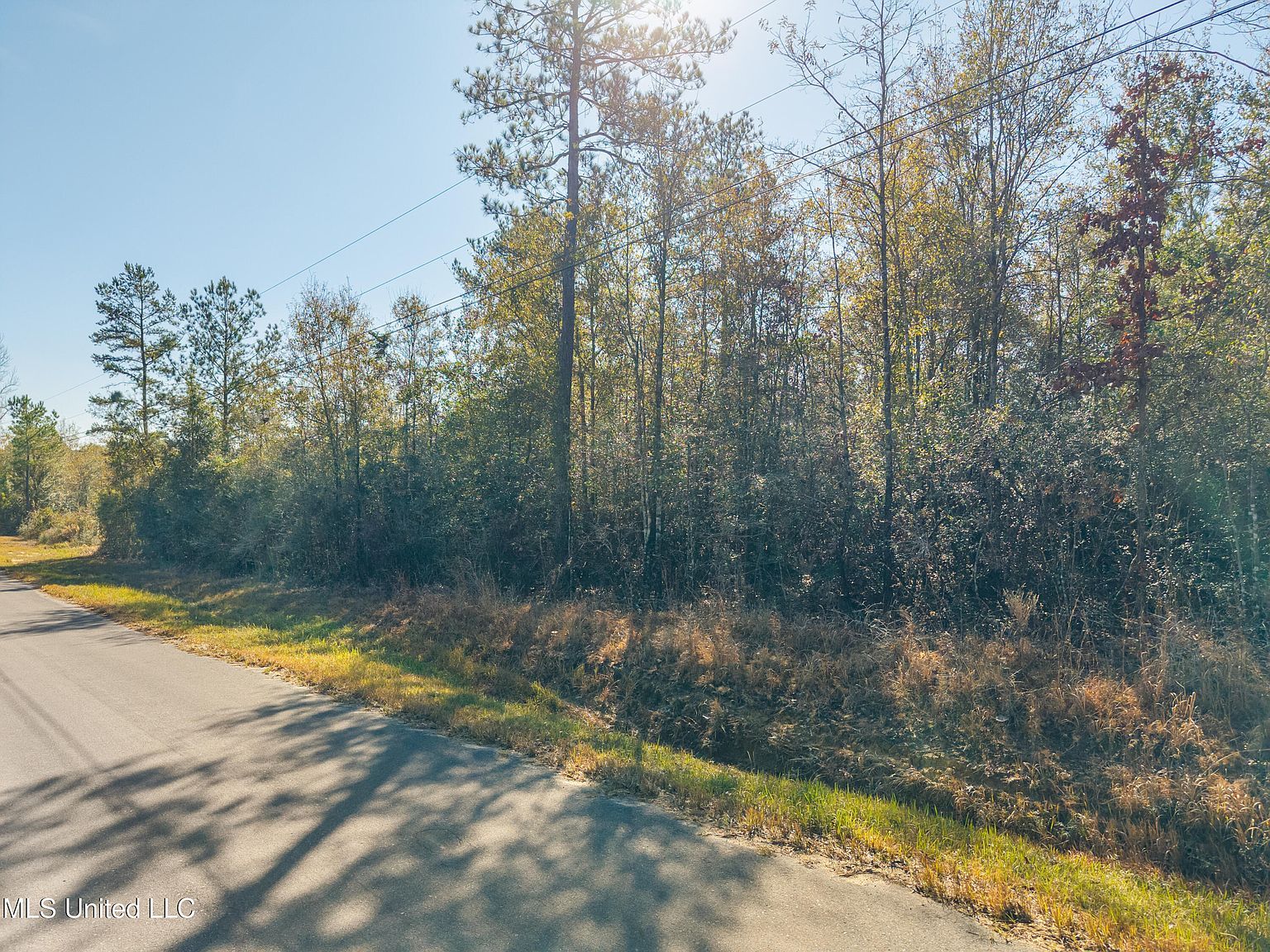 Country Hill Rd Lucedale, MS 39452 - Thumbnail 5