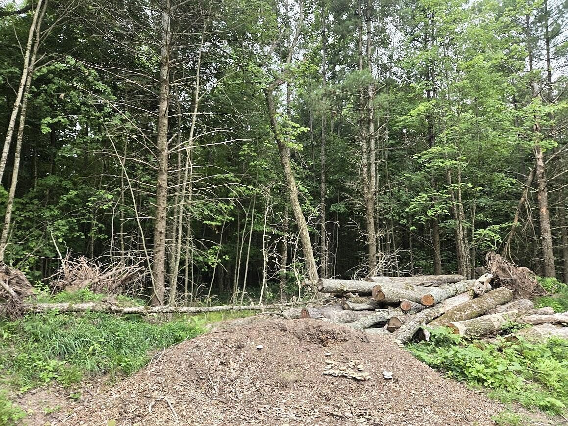 5369 E 68th St Chase, MI 49623 - Thumbnail 5