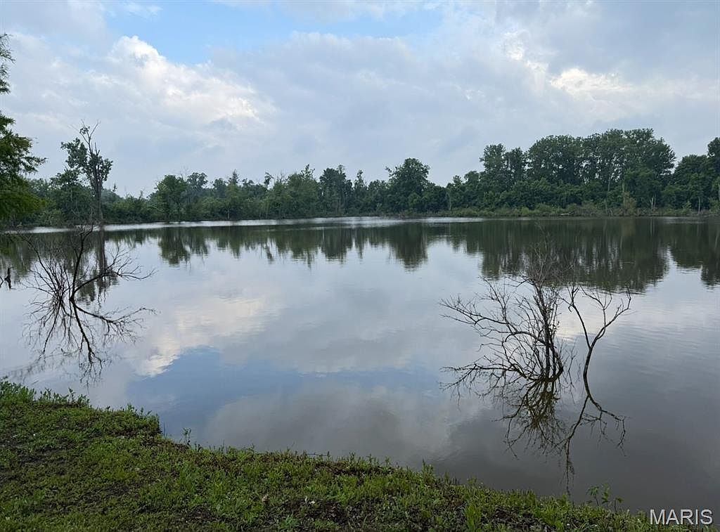 7841 State Hwy #96 Mozier, IL 62070 - Thumbnail 5