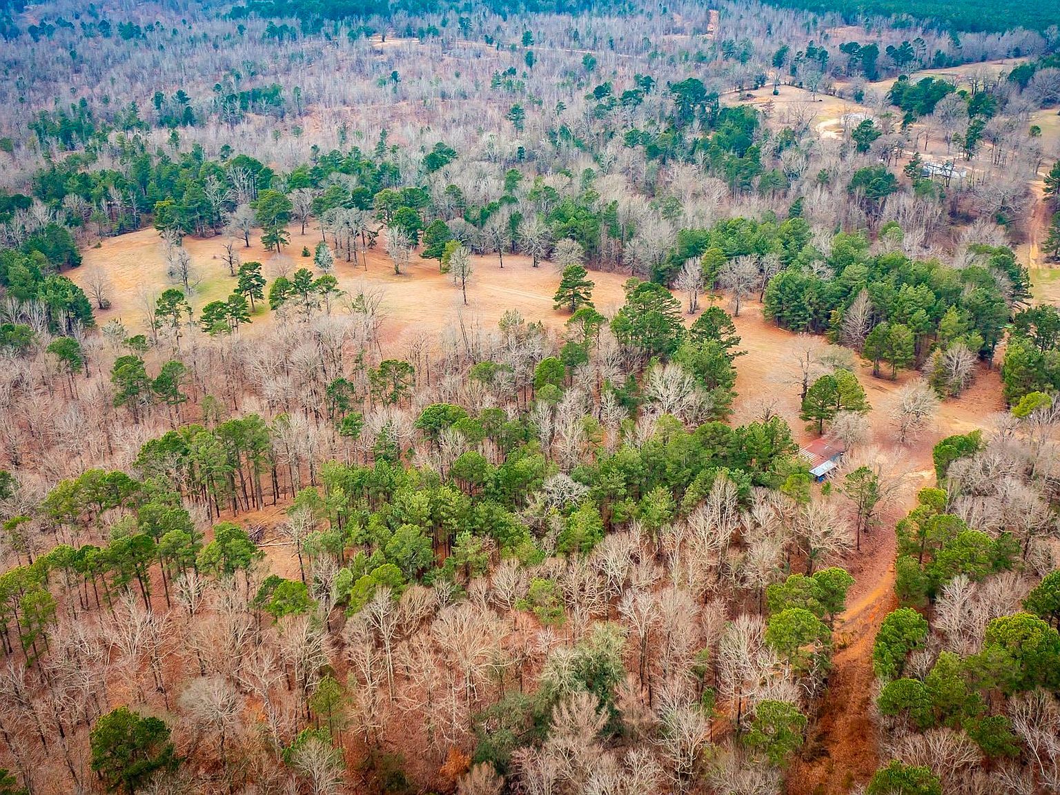 136 Private Road 1094 Fouke, AR 71837 - Thumbnail 5