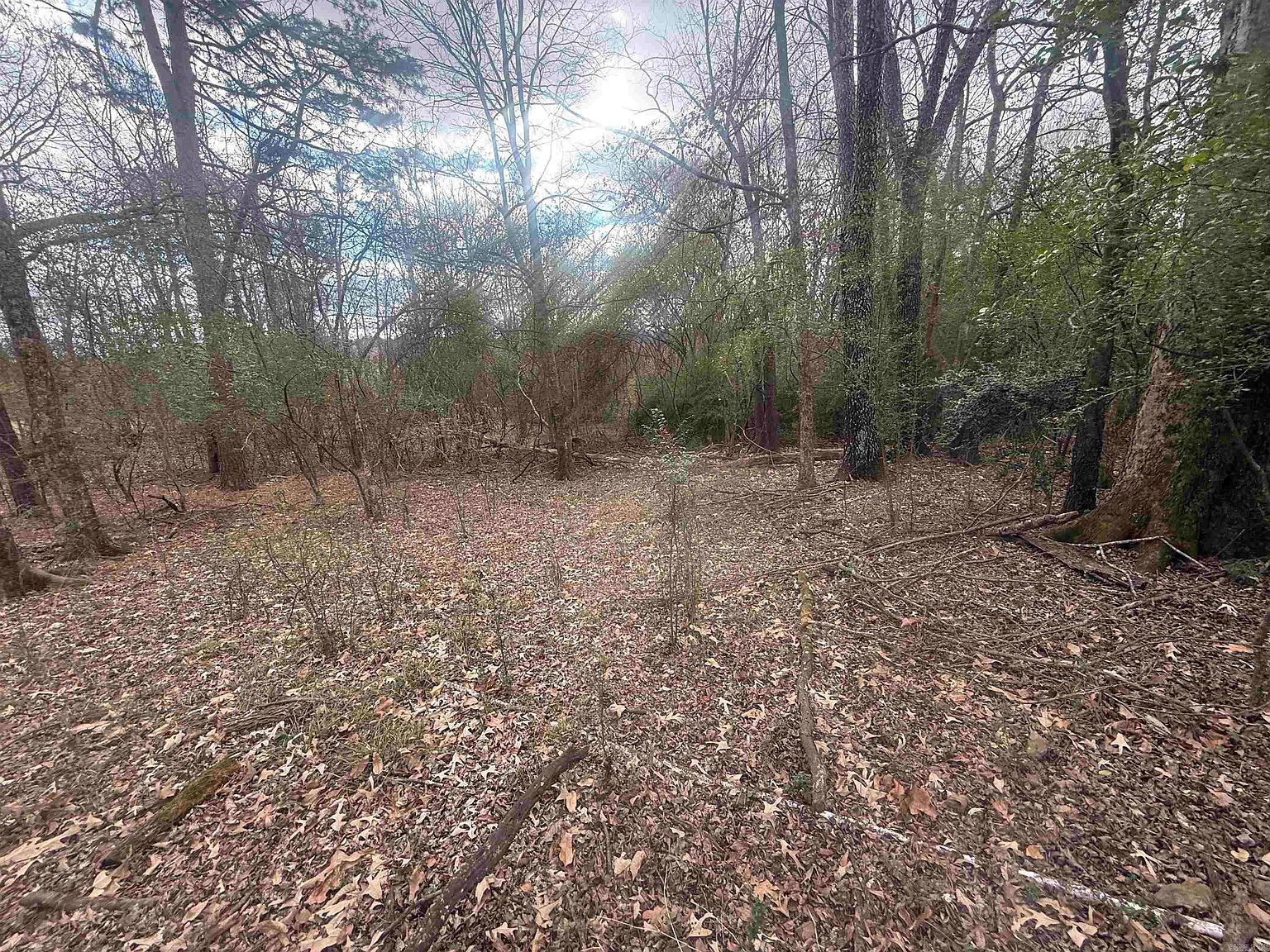 Arlington Dr Hot Springs National Park, AR 71913 - Thumbnail 5