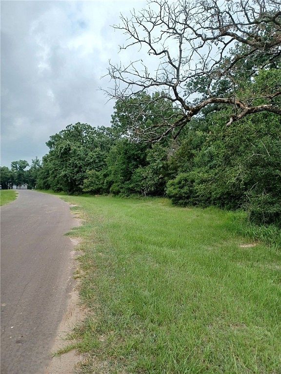 0 Lakewood Dr #96&97 Marquez, TX 77865 - Thumbnail 5
