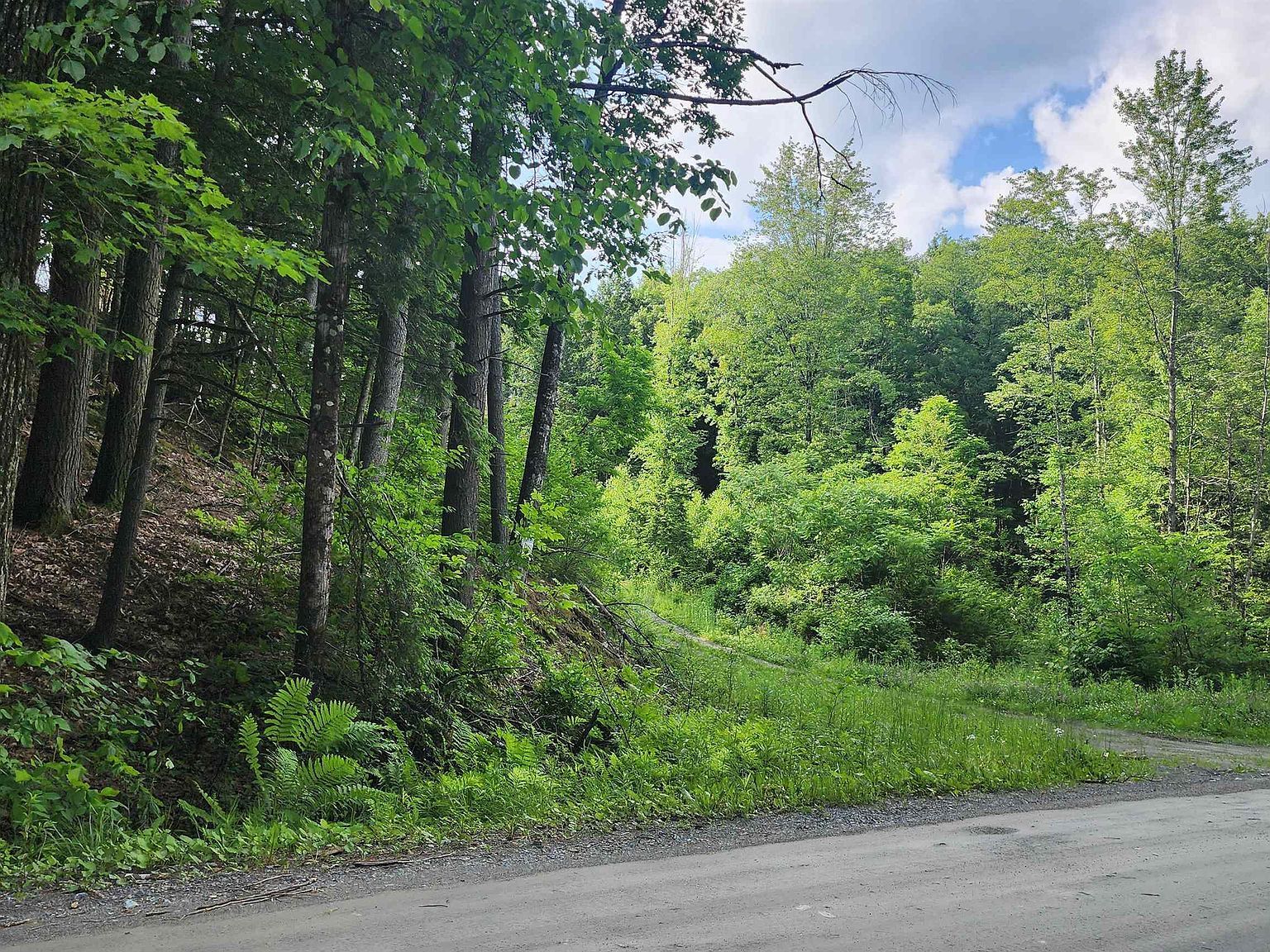 0 Spencer Hollow Rd Springfield, VT 05156 - Thumbnail 5