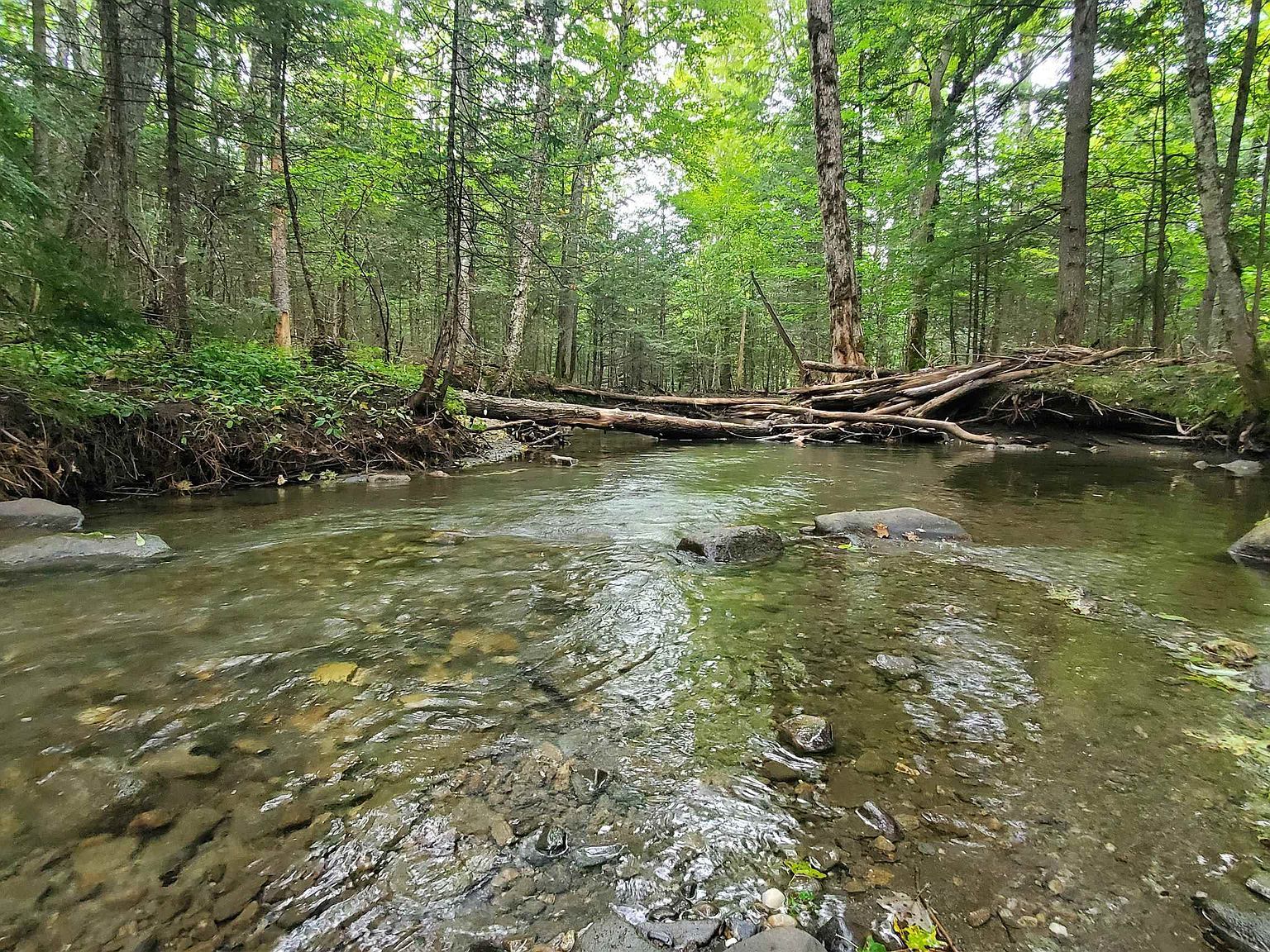 0 Brook Rd Chelsea, VT 05038 - Thumbnail 5