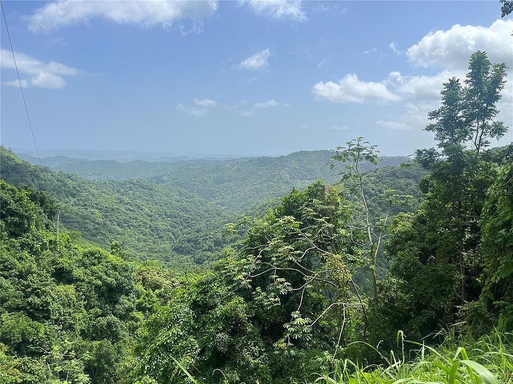 Km 19.9 Carr #128 Yauco, PR 00698 - Thumbnail 5