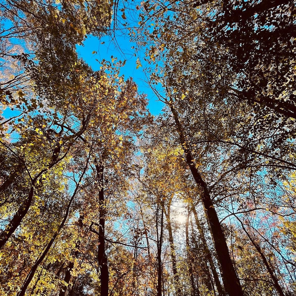 0 Smyrna Church Rd Pageland, SC 29728 - Thumbnail 5