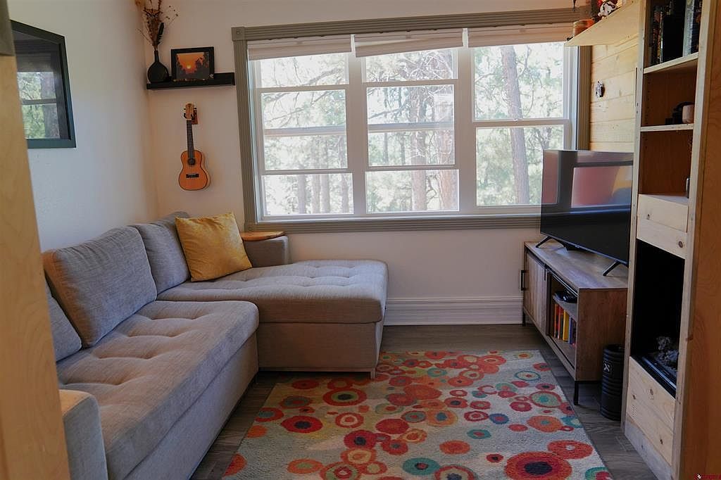 308 Silver Queen S UNIT 102C Durango, CO 81301 - Thumbnail 5