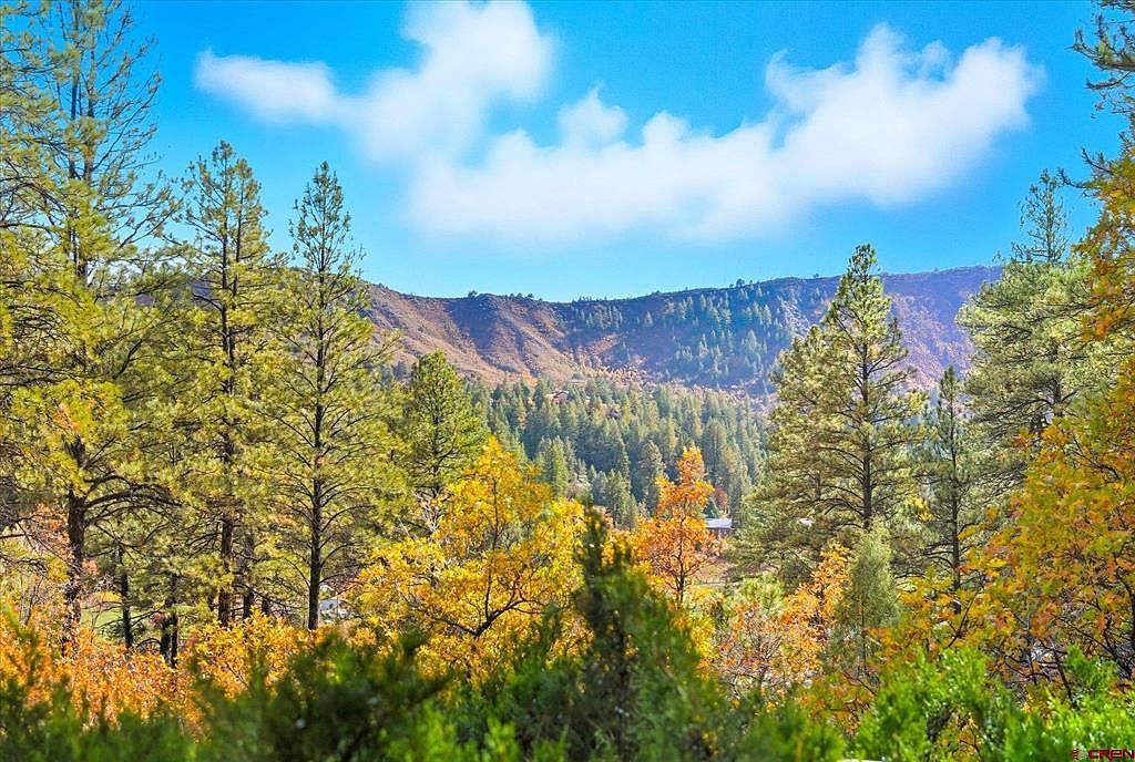 4245 County Road 240 Durango, CO 81301 - Thumbnail 5