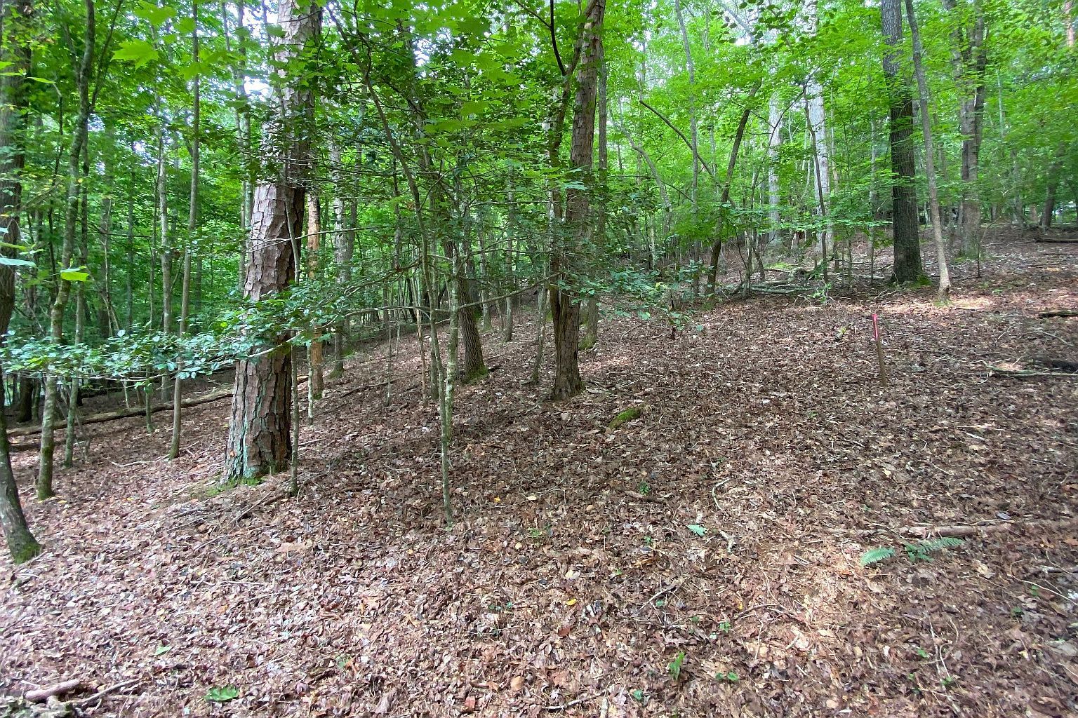 137R/135 Shiloh Ln Ellijay, GA 30540 - Thumbnail 5