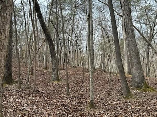 715/716 Hilary Ct Ellijay, GA 30540 - Thumbnail 5