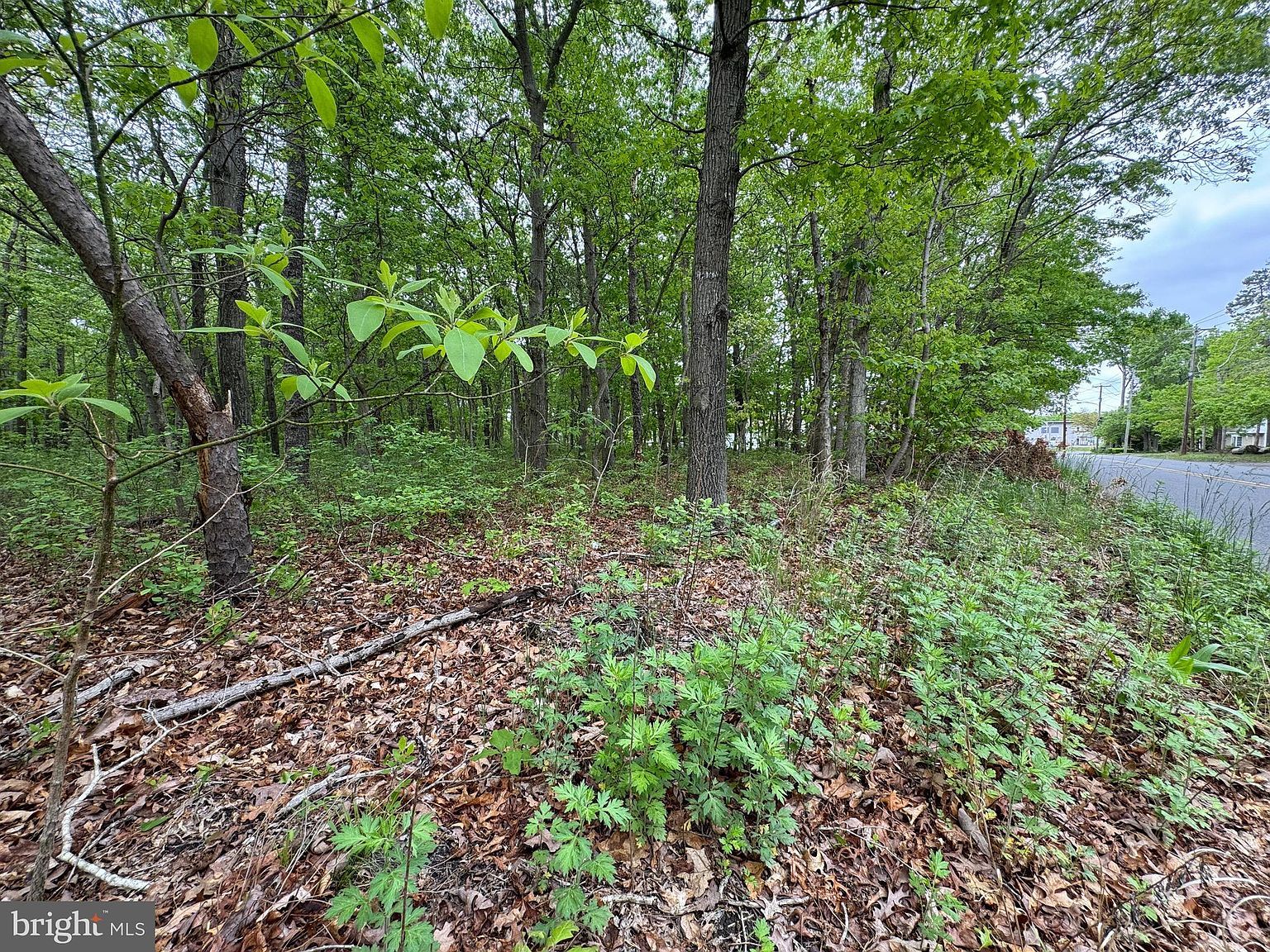 L15-02 S Ash Ave Absecon, NJ 08205 - Thumbnail 5