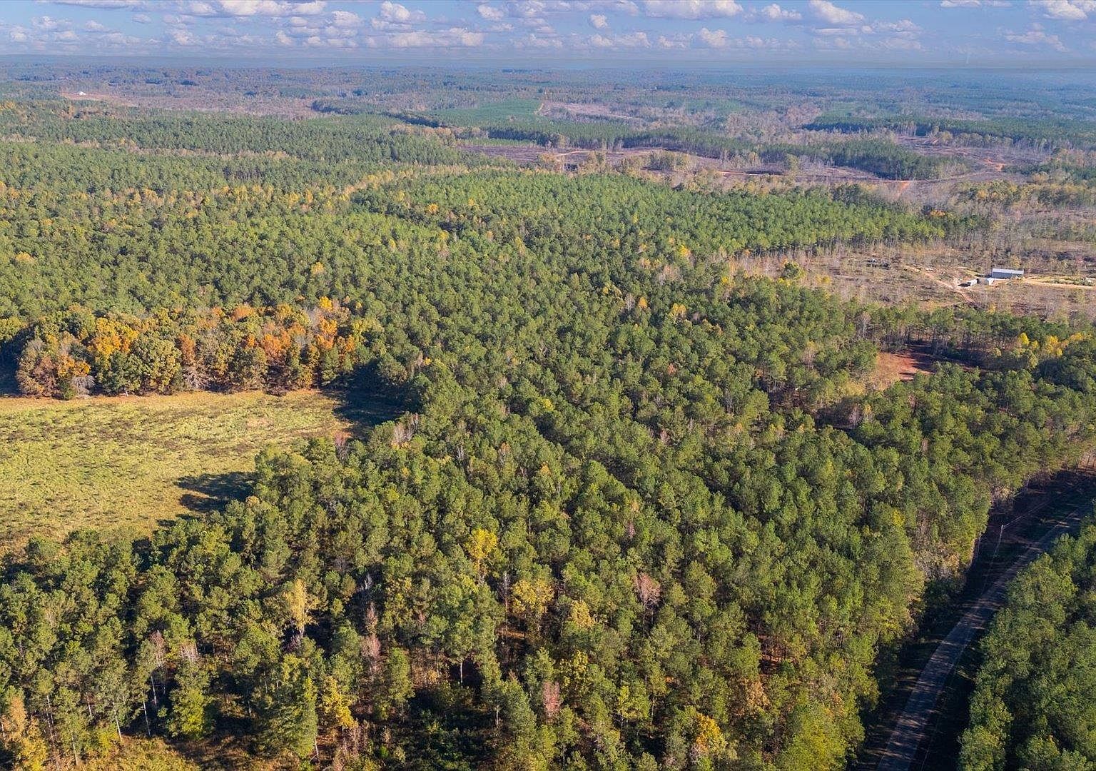 0 County Road 632 Roanoke, AL 36274 - Thumbnail 5