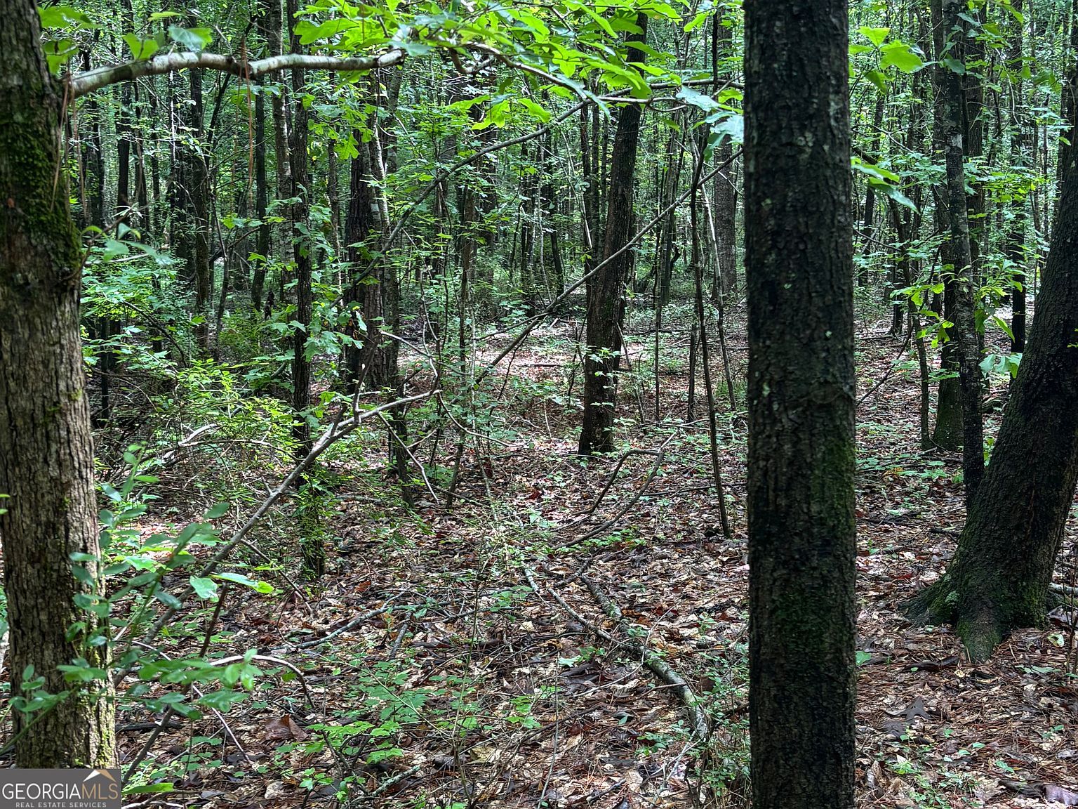 0 County Road 85 Lanett, AL 36863 - Thumbnail 5