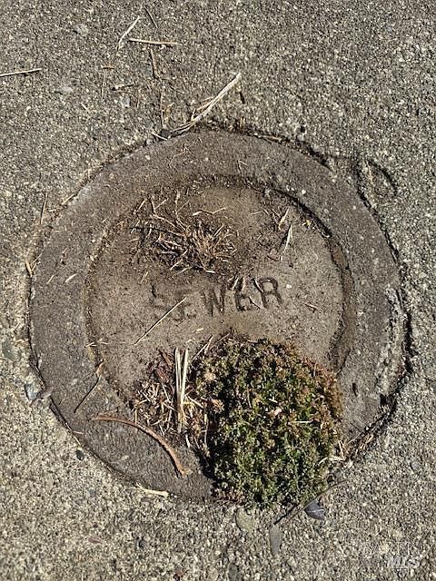 208 Carolina St Vallejo, CA 94590 - Thumbnail 5