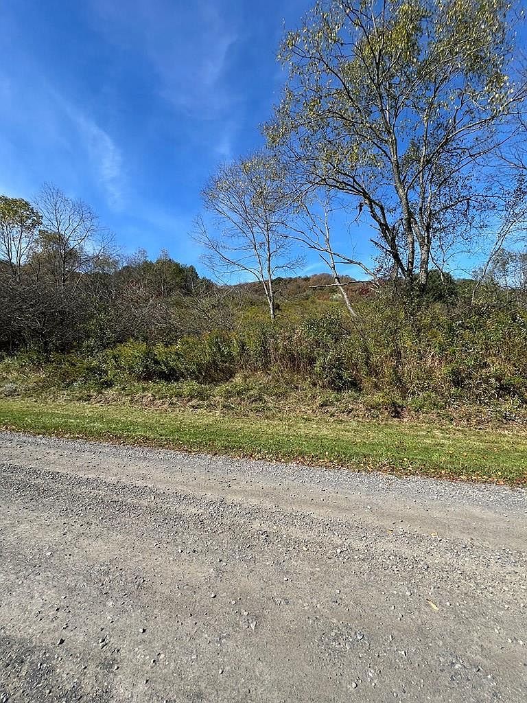 32 Phoebe Ln Coudersport, PA 16915  | Land/Lot