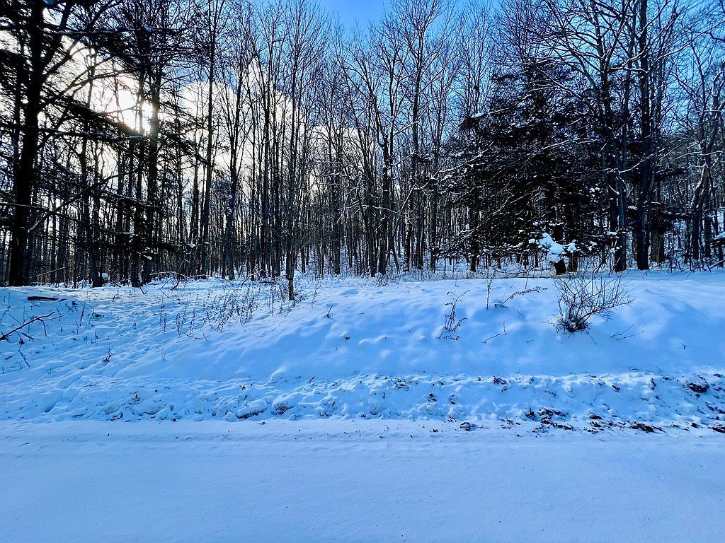 0 Brizzee Hollow Rd Genesee, PA 16923 - Thumbnail 5