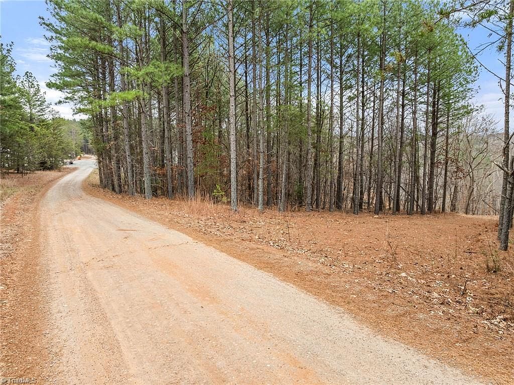 0 Doug Stanley Rd Sandy Ridge, NC 27046 - Thumbnail 5