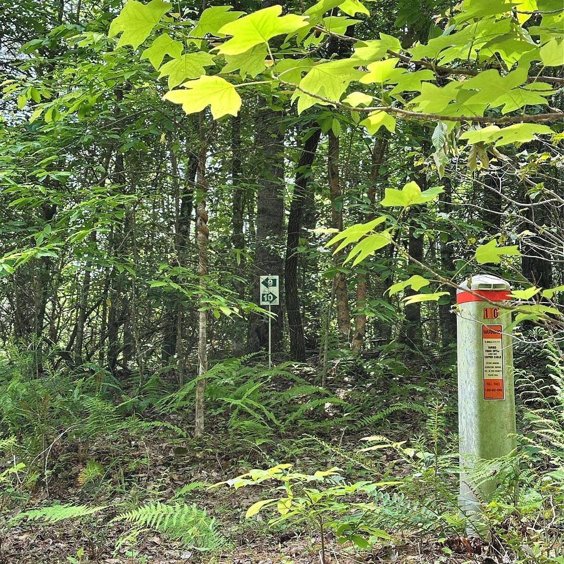 0 Carsons Way #10 Lenoir, NC 28645 - Thumbnail 5