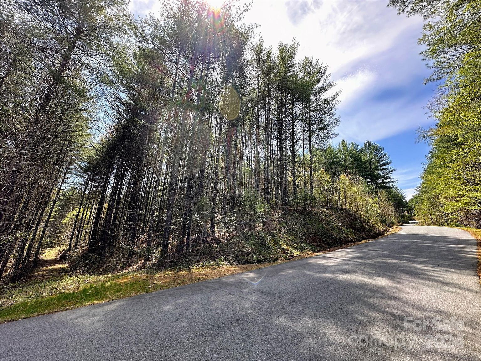 0 National Forest Dr #132 Lenoir, NC 28645 - Thumbnail 5