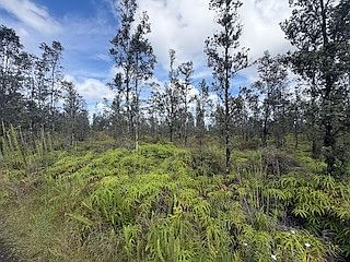 Road 2 LOT 2842 Kurtistown, HI 96760 - Thumbnail 5