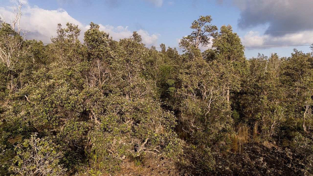 Leilani Pkwy LOT 9 Captain Cook, HI 96704 - Thumbnail 5