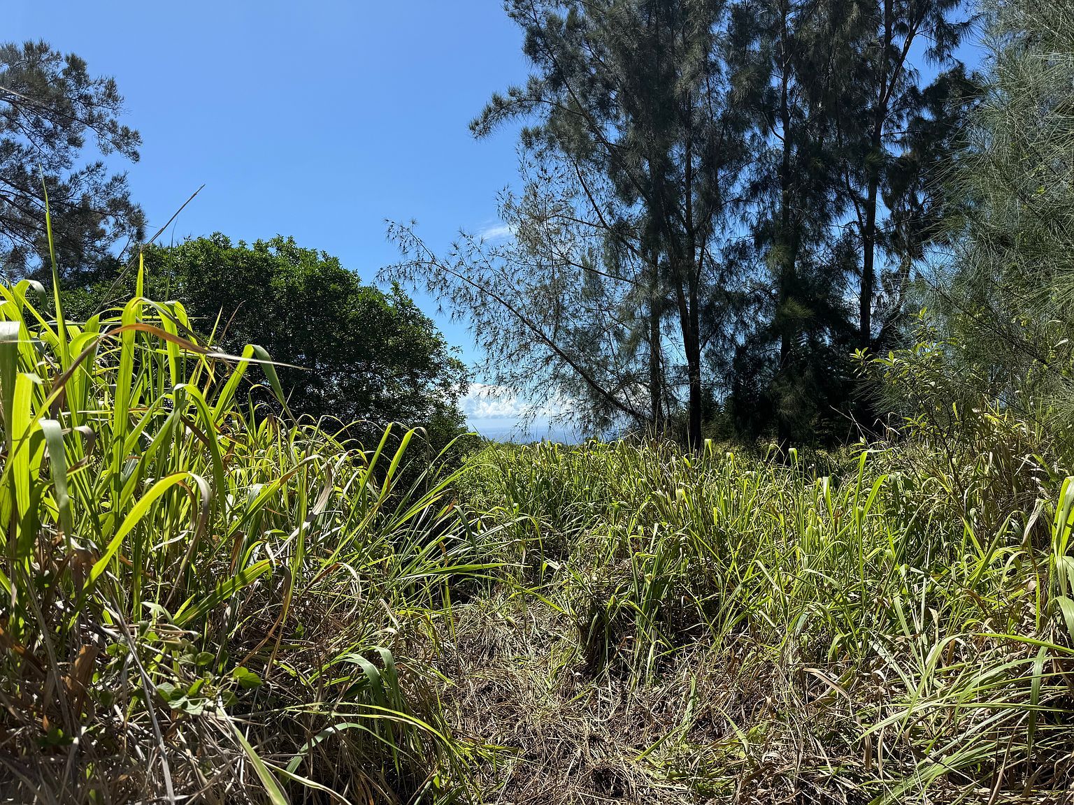 Kai Makani Pl Naalehu, HI 96772 - Thumbnail 5