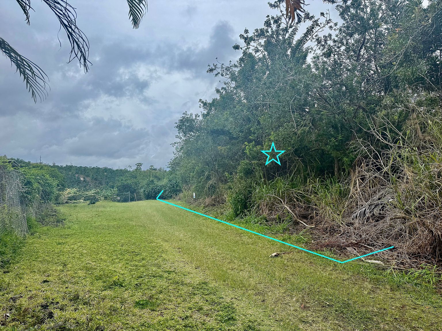 Mamalahoa Hwy Lot 1-A-9 Captain Cook, HI 96704 - Thumbnail 5