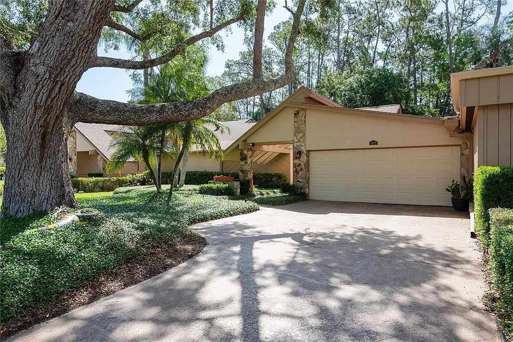 3071 Bolt Dr Palm Harbor, FL 34685 - Thumbnail 5