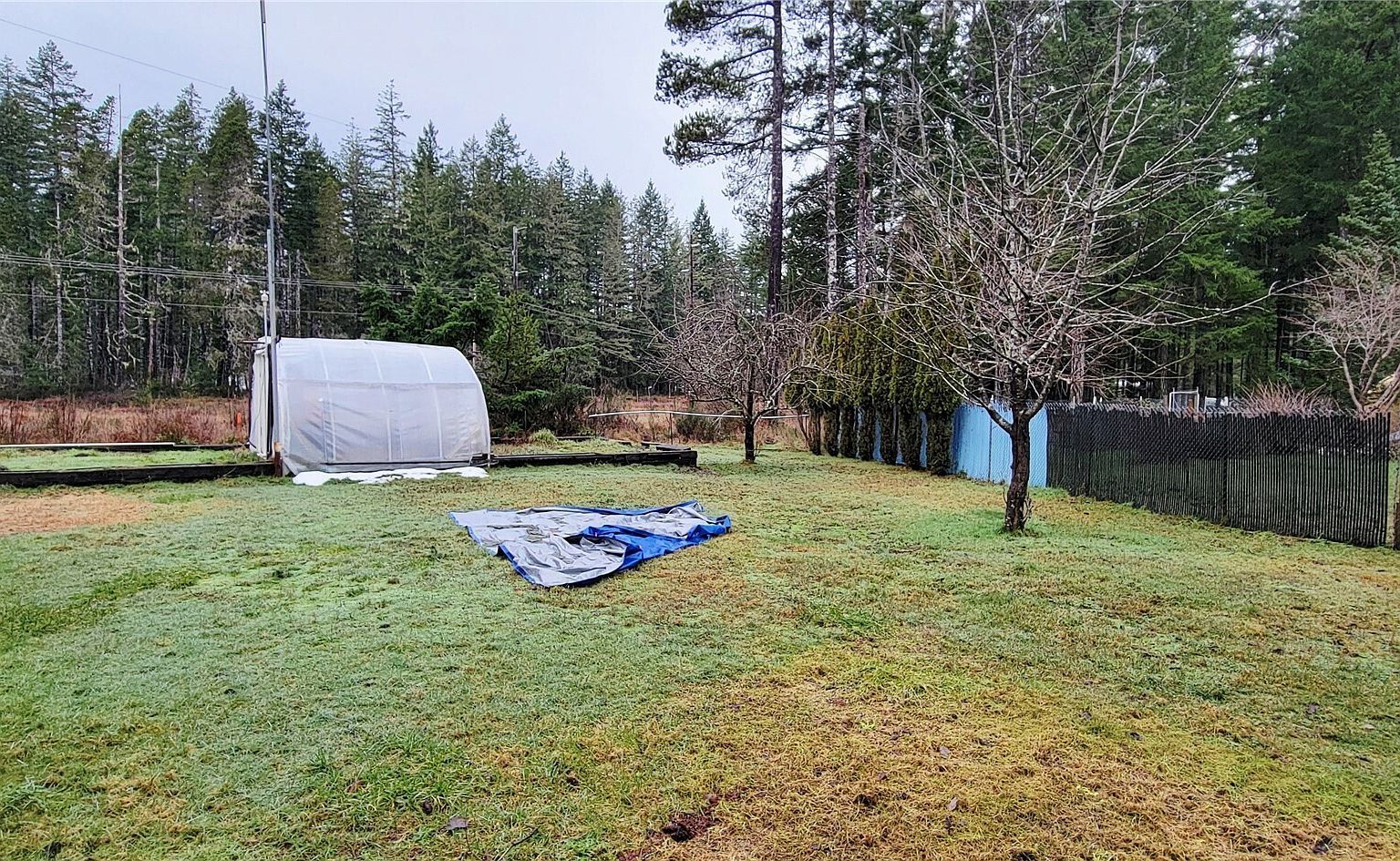 71 N Coho Ct Hoodsport, WA 98548 - Thumbnail 5