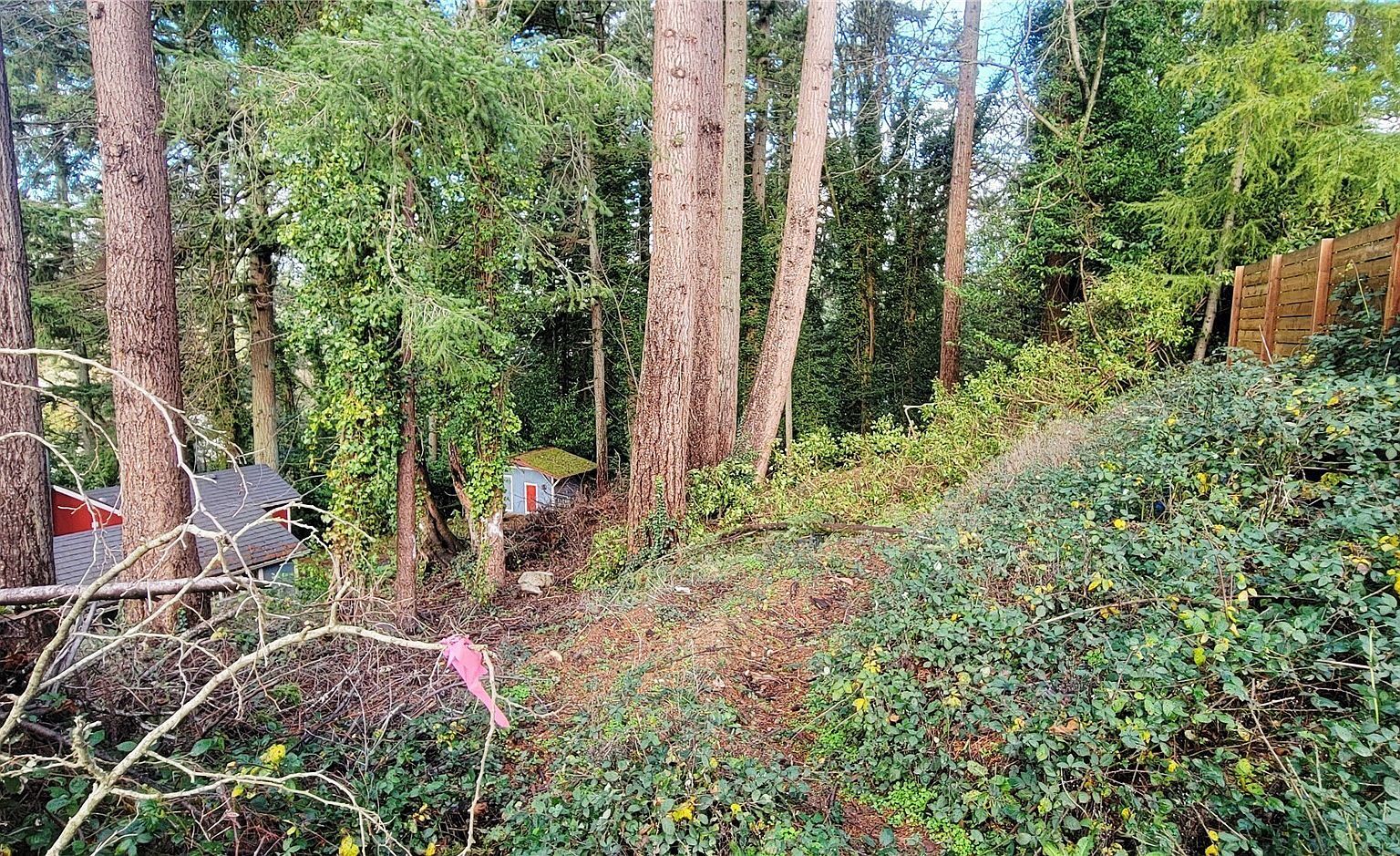 3202 17th St Bremerton, WA 98312 - Thumbnail 5