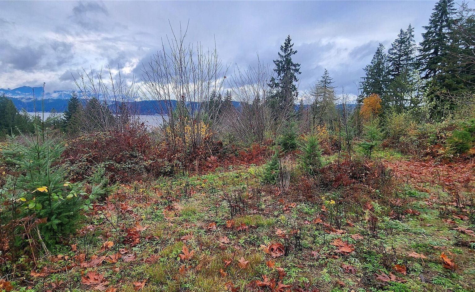 0 E Twanoh Heights Rd Belfair, WA 98528 - Thumbnail 5