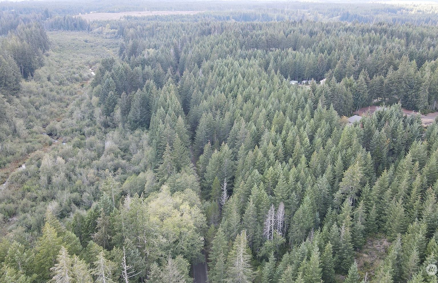 1400 E Jensen Rd Shelton, WA 98584 - Thumbnail 5