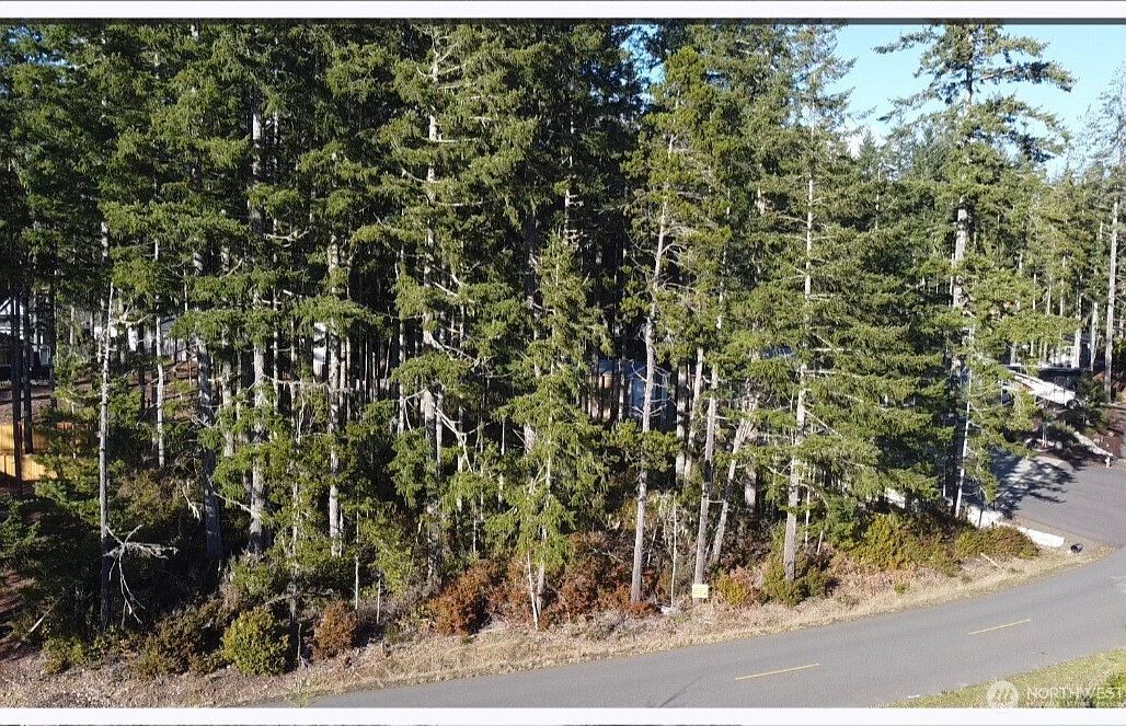 350 E Vine Maple Ln Union, WA 98592 - Thumbnail 5