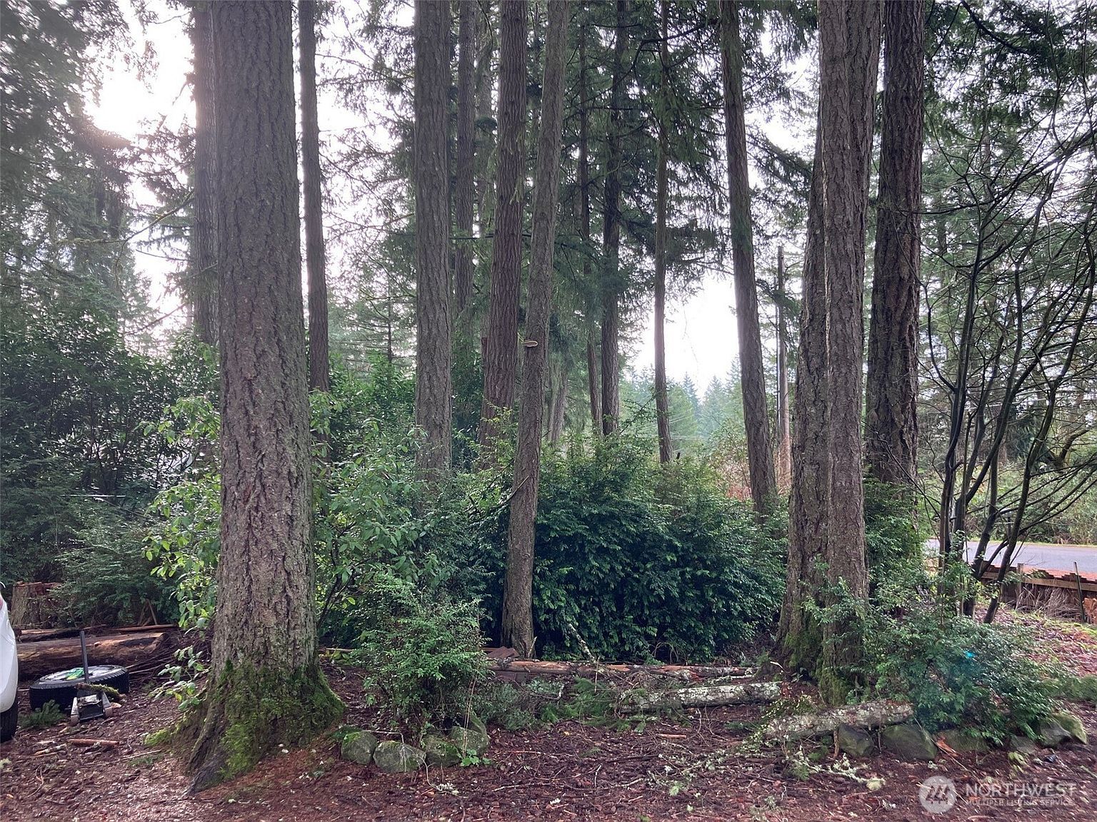 13115 140th Ave NW Wauna, WA 98329 - Thumbnail 5