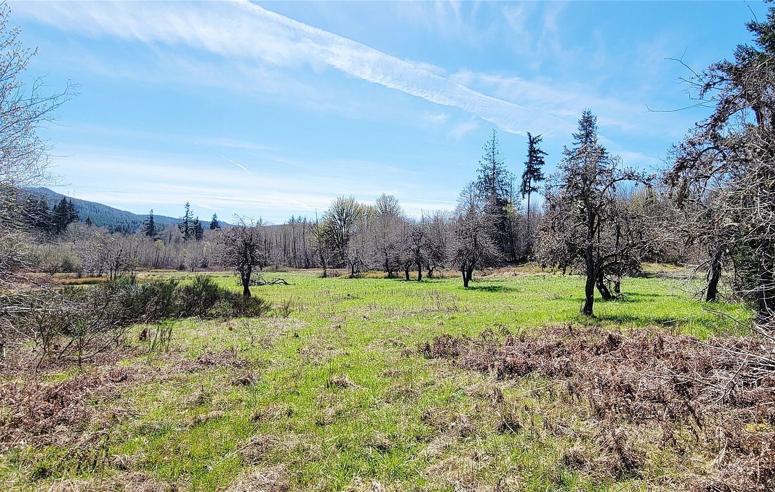 0 W Cloquallum Rd Shelton, WA 98584 - Thumbnail 5