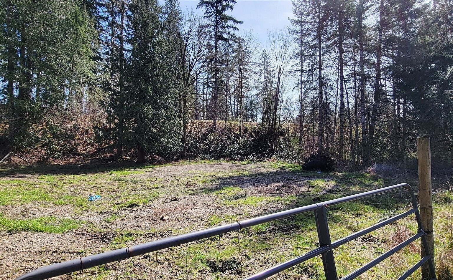 50 W Alder Pl Elma, WA 98541 - Thumbnail 5