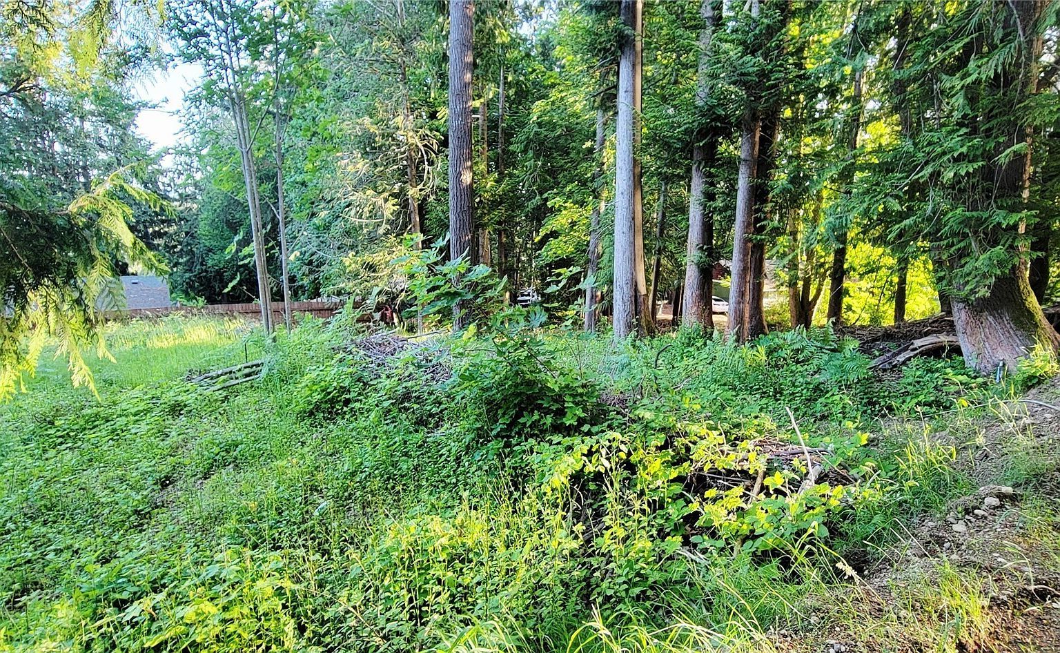 1810 Mason St Shelton, WA 98584 - Thumbnail 5