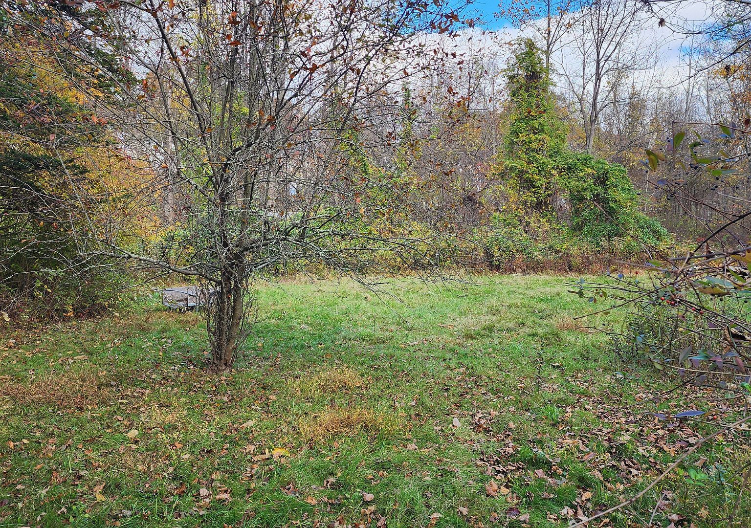 1116 Wallingford Rd Cheshire, CT 06410 - Thumbnail 5