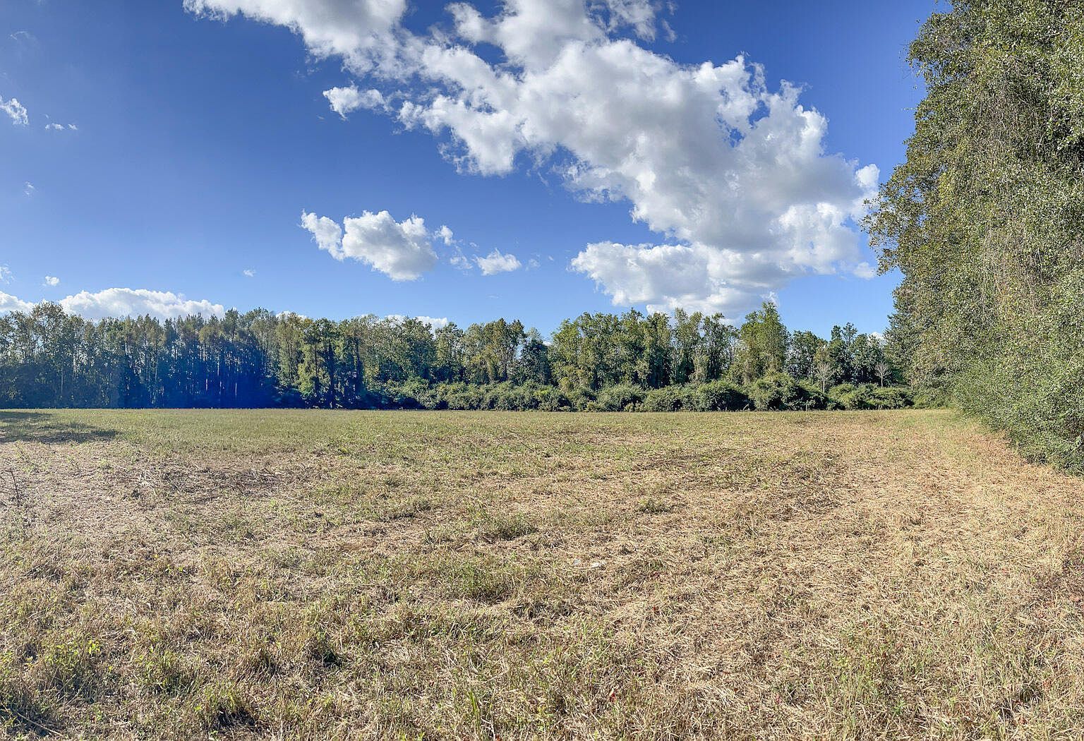 97 S Us Highway 117 Teachey, NC 28464 - Thumbnail 5